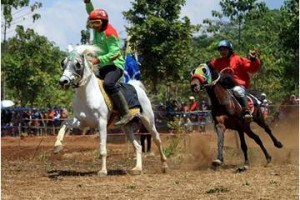 Lomba pacuan kuda tradisional.